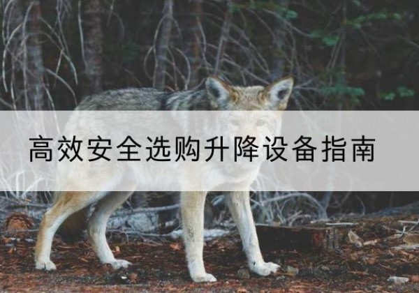 桃山升降货梯厂家推荐-*安全选购升降设备指南