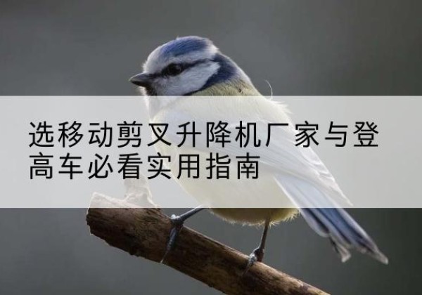 桃山电动升降机厂家-选移动剪叉升降机厂家与登高车必看实用指南