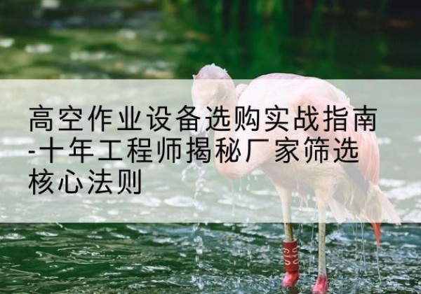 桃山剪叉式升降机厂家-高空作业设备选购实战指南-十年工程师揭秘厂家筛选核心法则